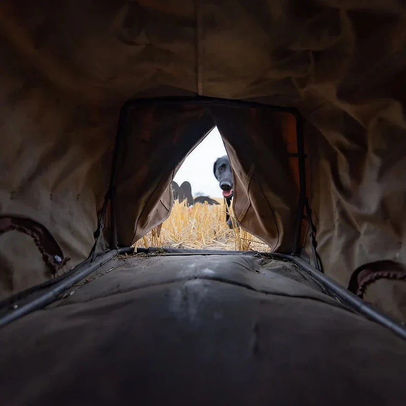 Field Dog Blind