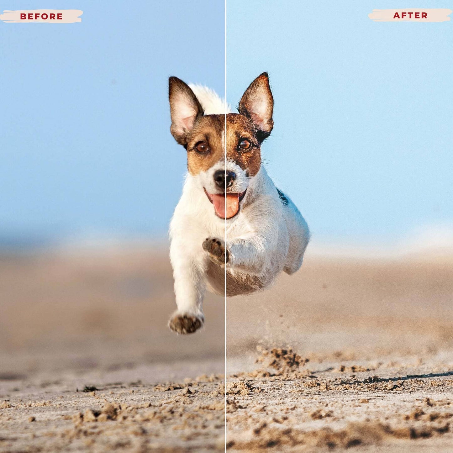 Ai-Optimized DOG LOVERS LIGHTROOM PRESETS