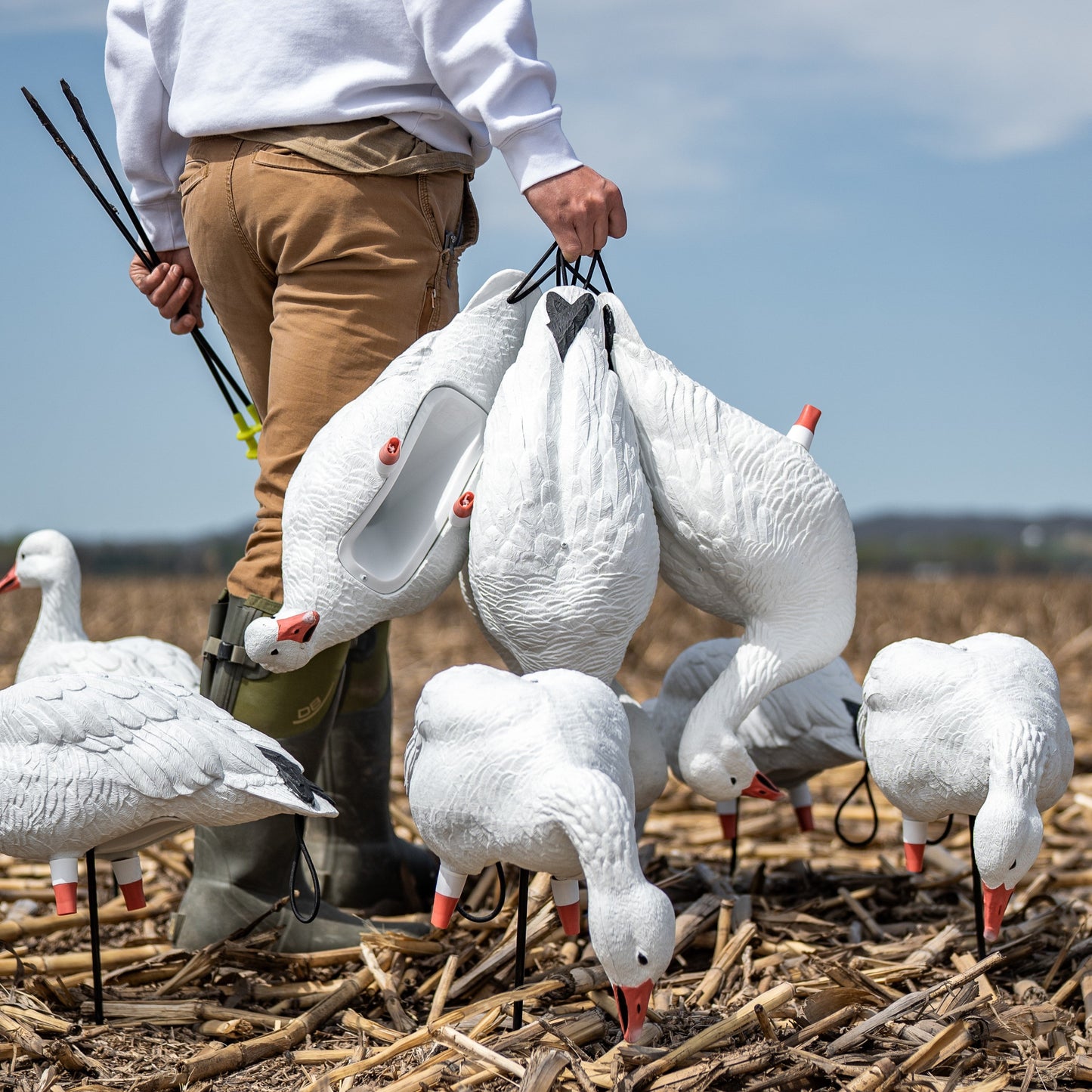 FB Snow Goose Full Bodies