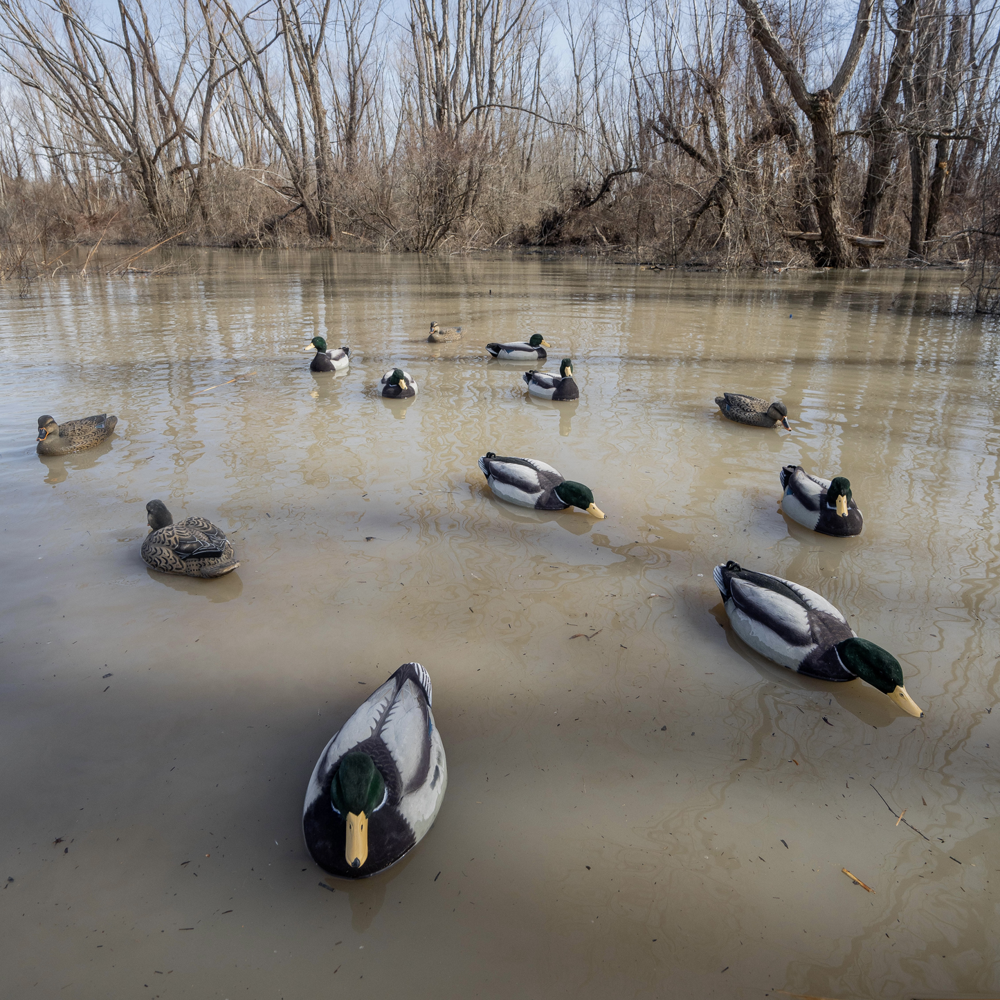 F1FF (Fully Flocked) Mallard Floaters