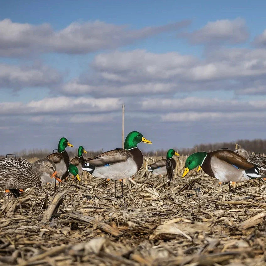 M1FF (Fully Flocked) Mallard Silhouettes