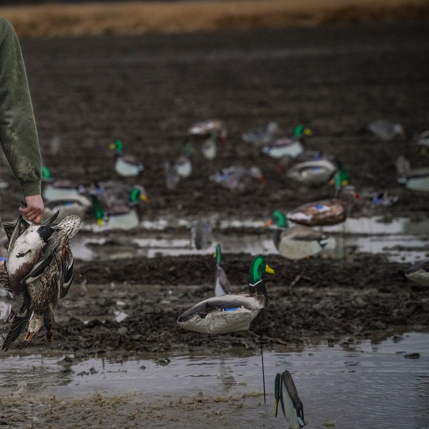 S3i Mallard Socks