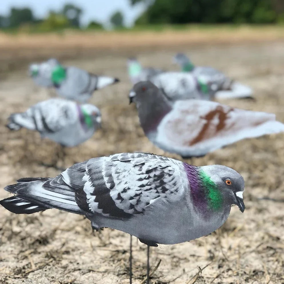 G1 Pigeon Silhouettes