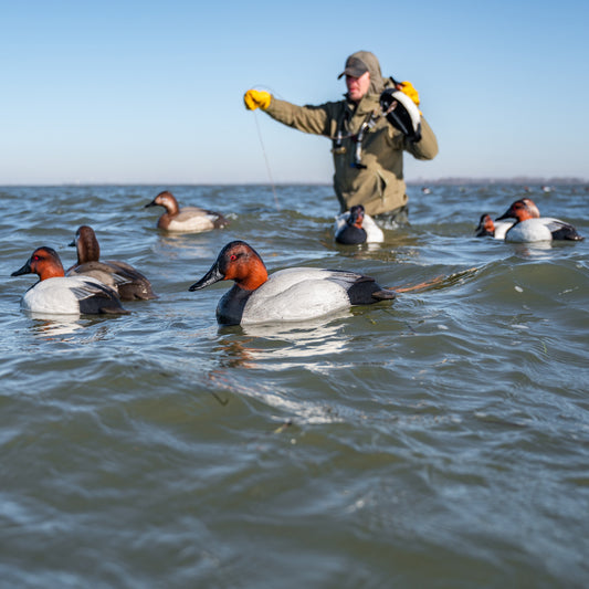 F1 Canvasback Floaters