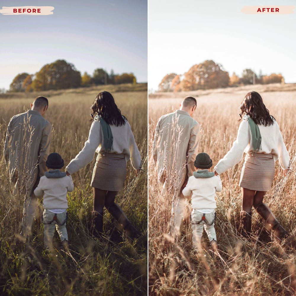 Ai-Optimized MOMMY BLOGGER AI-OPTIMIZED LIGHTROOM PRESETS