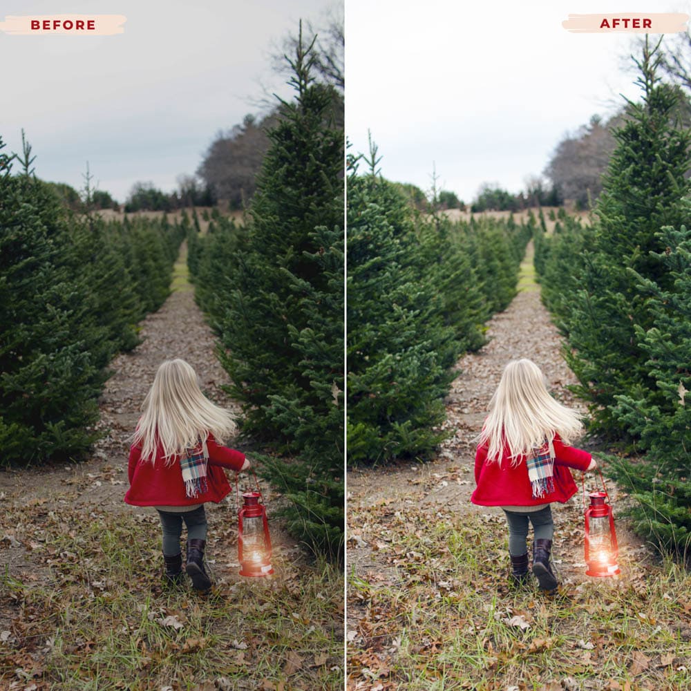 Ai-Optimized CHRISTMAS LIGHTS LIGHTROOM PRESETS