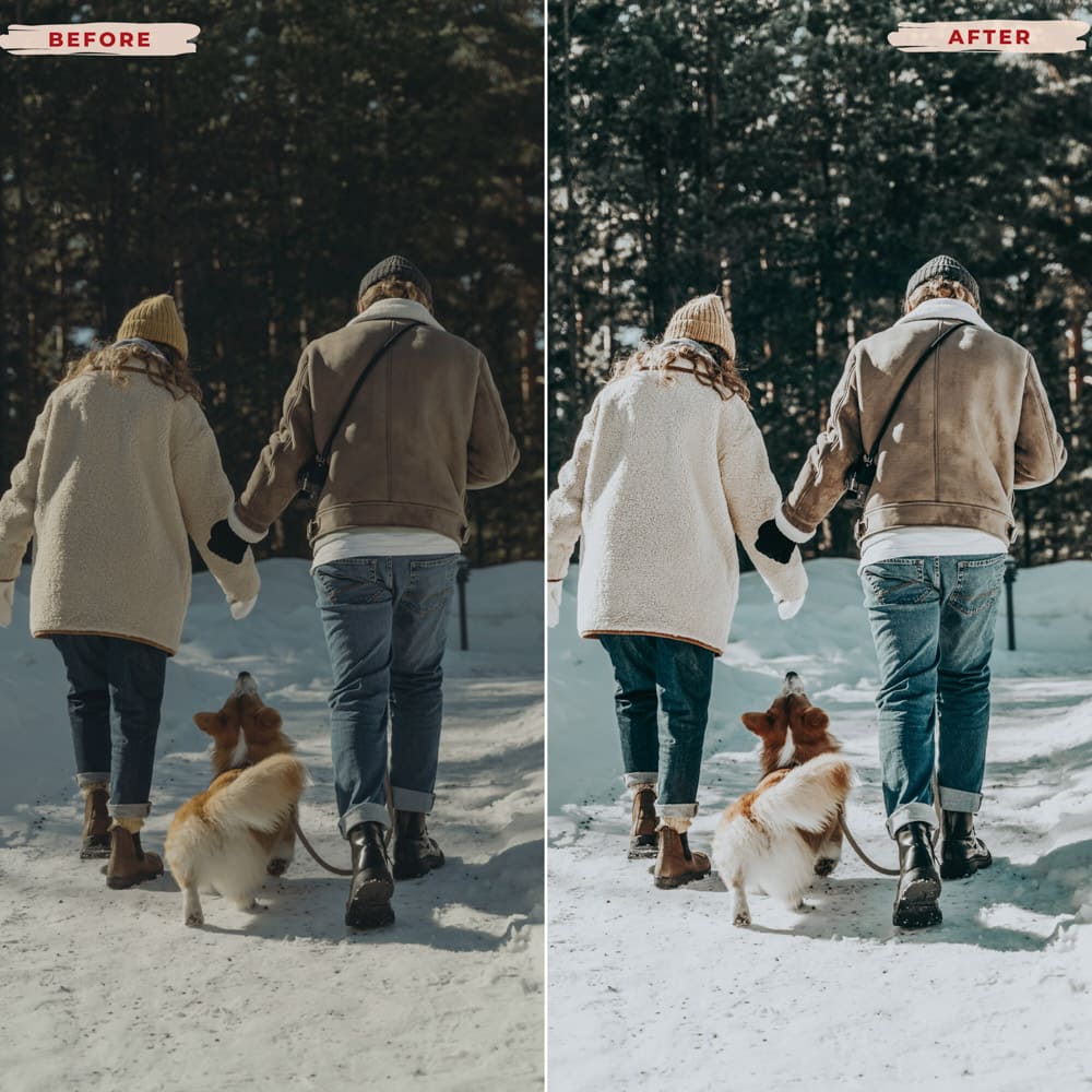 Ai-Optimized RUSTIC WINTER LIGHTROOM PRESETS