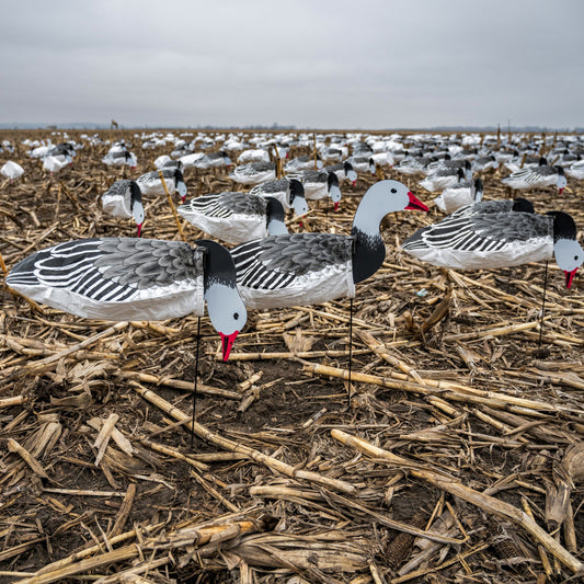 S3i Blue Goose Socks