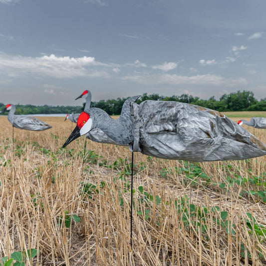 S3i Sandhill Crane Socks