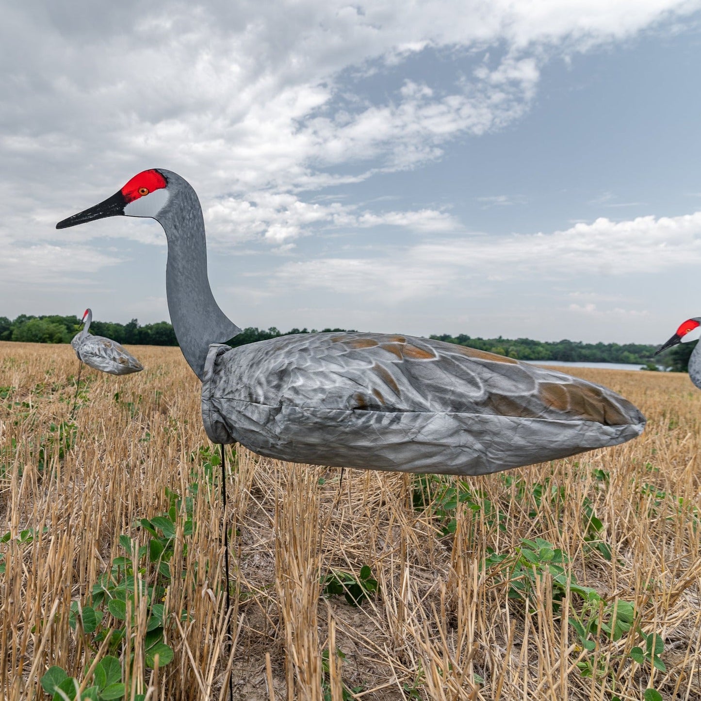 S3i Sandhill Crane Socks