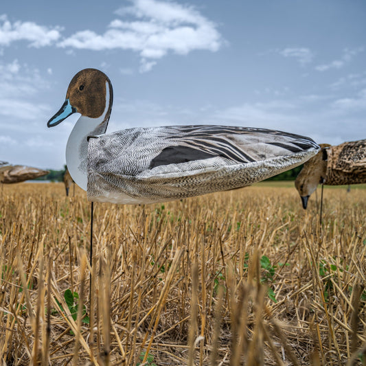 S3i Pintail Socks