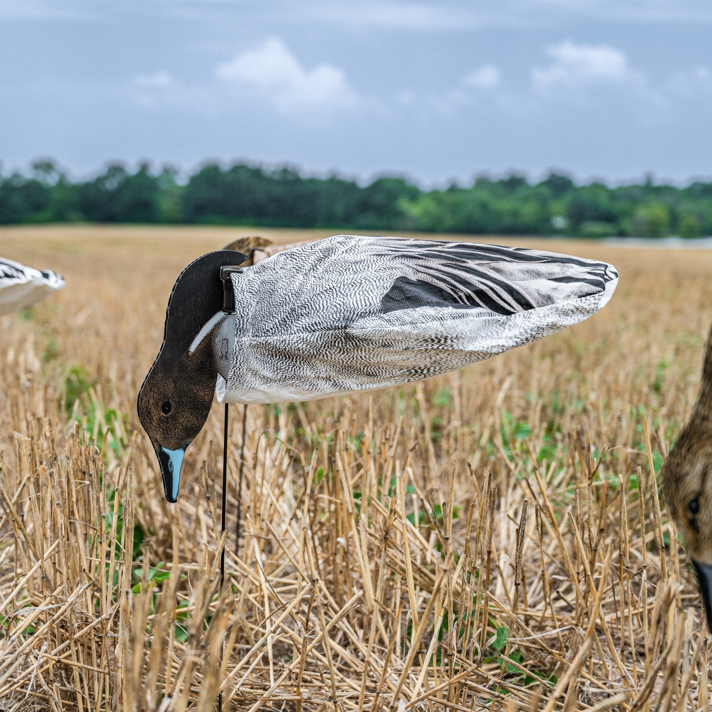 S3i Pintail Socks