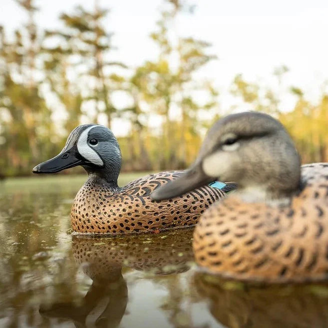 F1 Blue-winged Teal Floaters