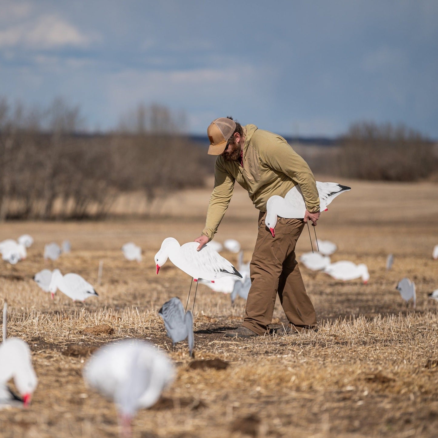 V2 Snow Goose Silhouettes