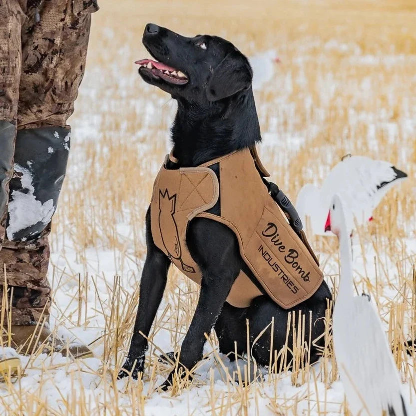 Adjustable Dog Vest